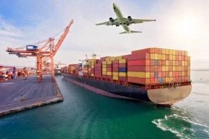 Export company in Tanzania